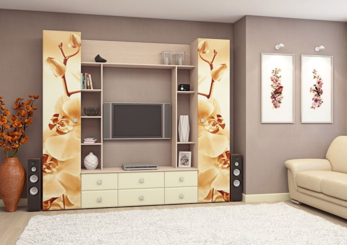 kledingkast in het interieur van de woonkamer