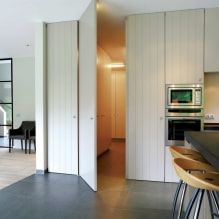 Verborgen deuren in het interieur (voor- en nadelen, foto's en ontwerp) - 1