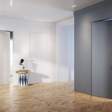 Verborgen deuren in het interieur (voor- en nadelen, foto's en ontwerp)-5