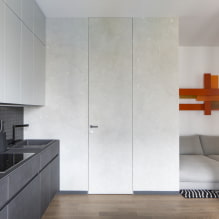 Verborgen deuren in het interieur (voor- en nadelen, foto's en ontwerp)-4