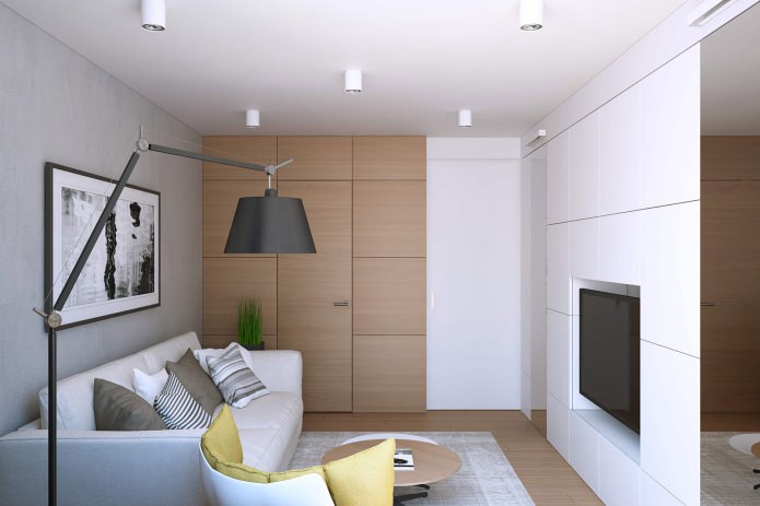 woonkamerontwerp in een eenkamerappartement van 43 m?.