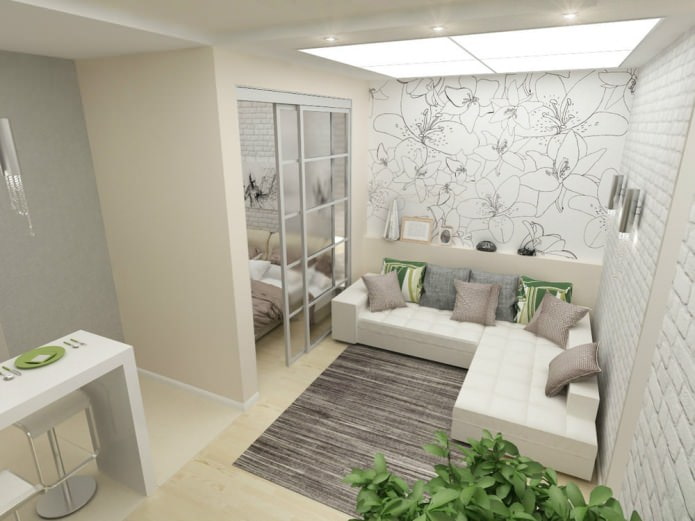 ontwerp van een eenkamerappartement van 45 m?.
