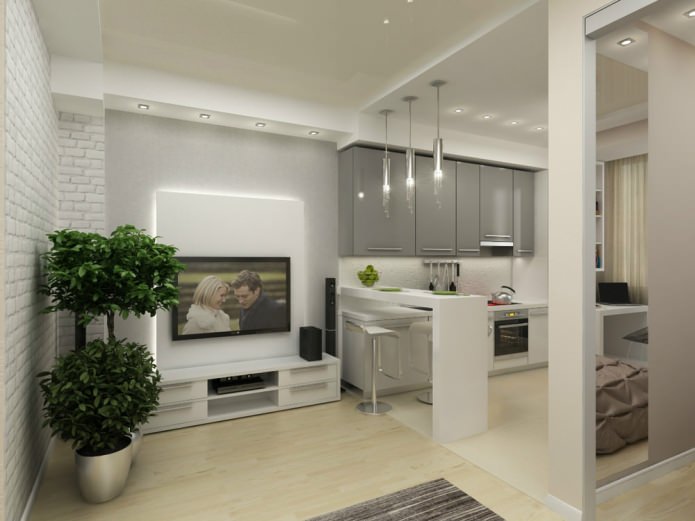 ontwerp van een eenkamerappartement van 45 m?.