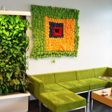 Eco-stijl in interieurontwerp-11