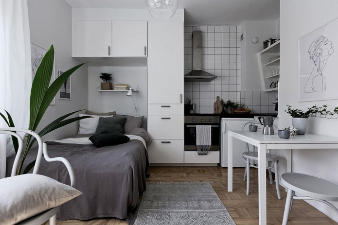 interieur van een kleine keuken-slaapkamer