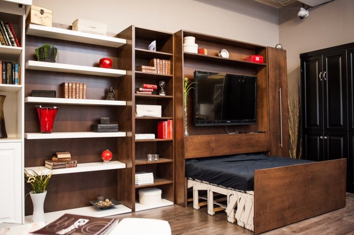 uitschuifbaar bed in de woonkamer