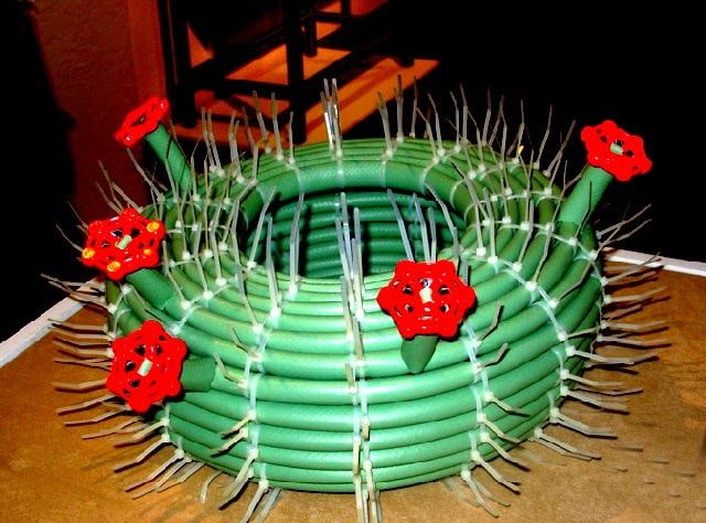 cactus van een tuinslang