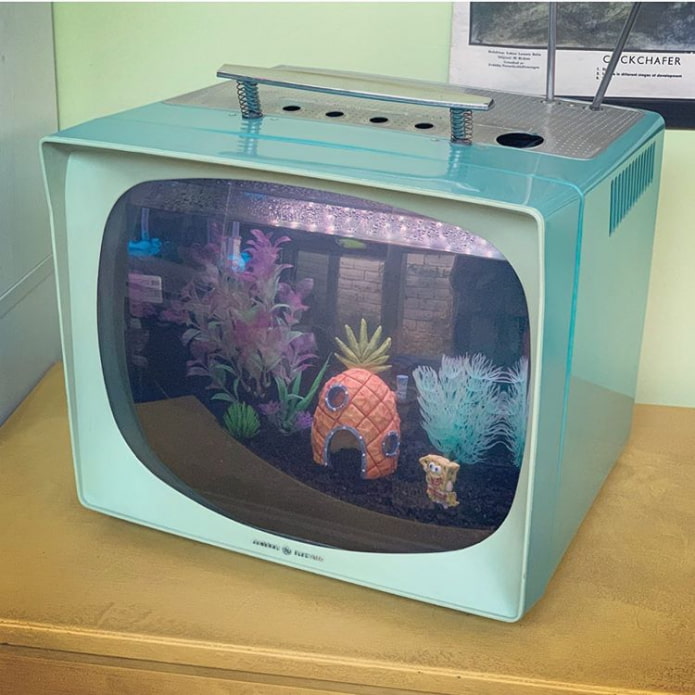 Stijlvol aquarium van een oude tv