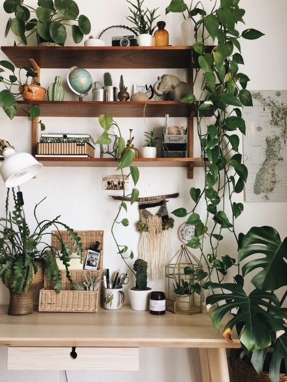 Planten