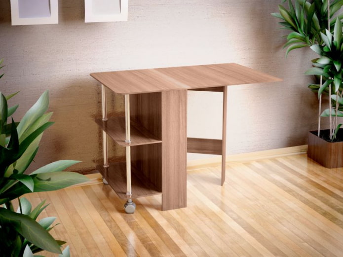 boekmodel met planken in het interieur