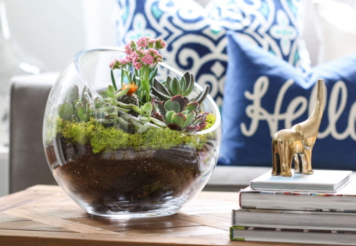 florarium in de woonkamer