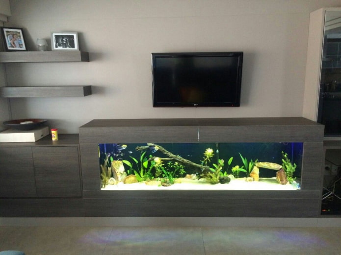 TV aan de muur met een aquarium in de woonkamer