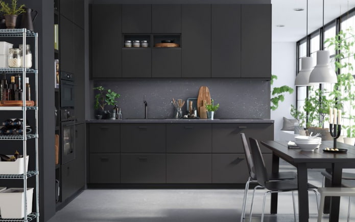 Modern ontwerp van een donkere keuken