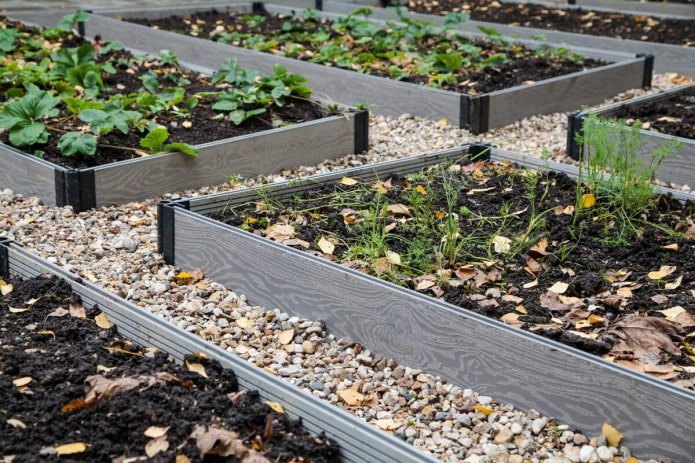 mooie perken in de tuin