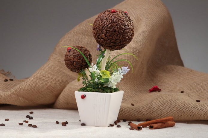 Dubbele koffieboom