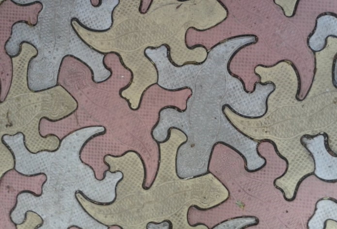 hagedis-vormige bestratingsplaat