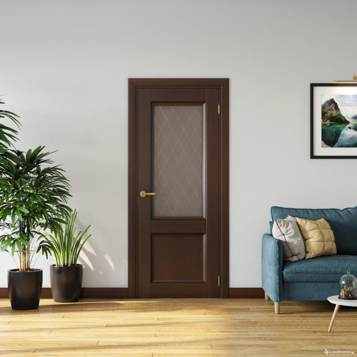 donkere deur met glas