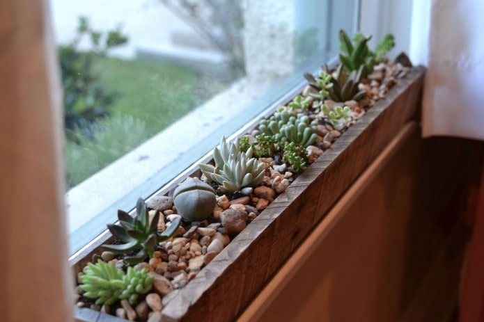 vetplanten op het balkon