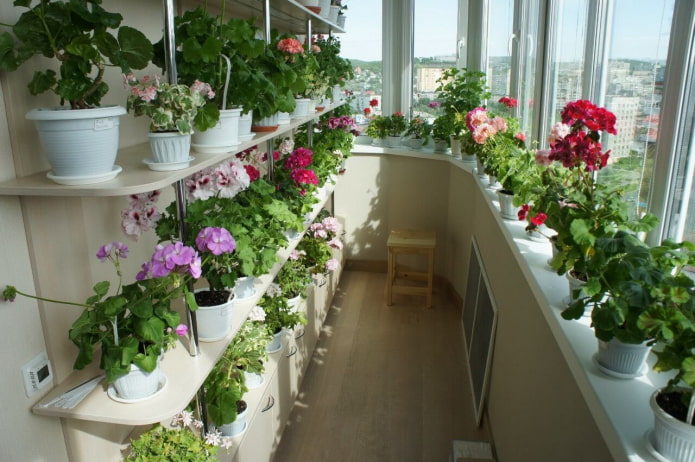planken voor bloemen op het balkon