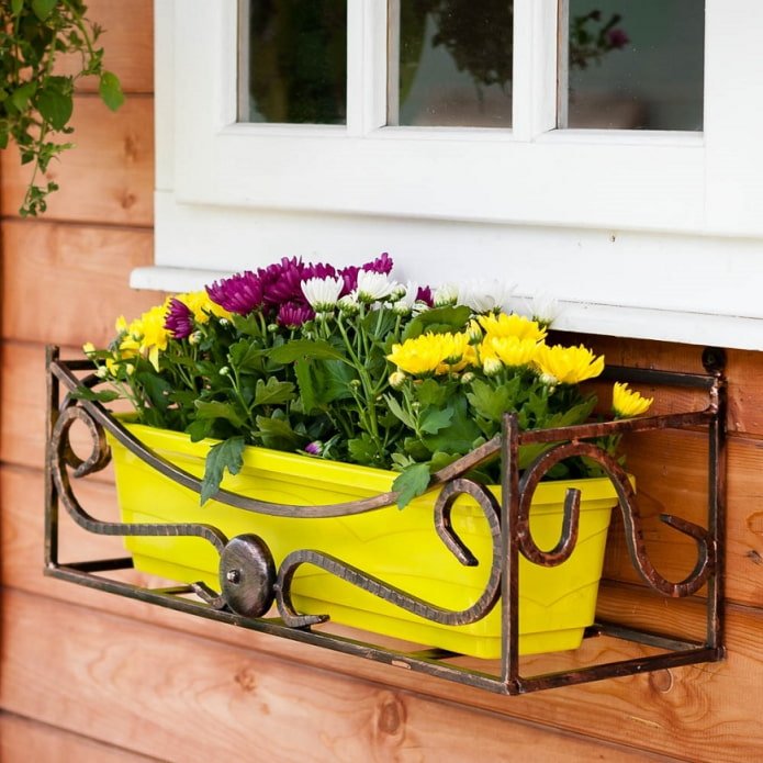 bloemperk buiten het raam