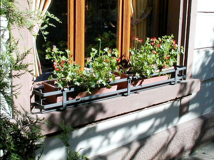 mooie bloemperk op de vensterbank