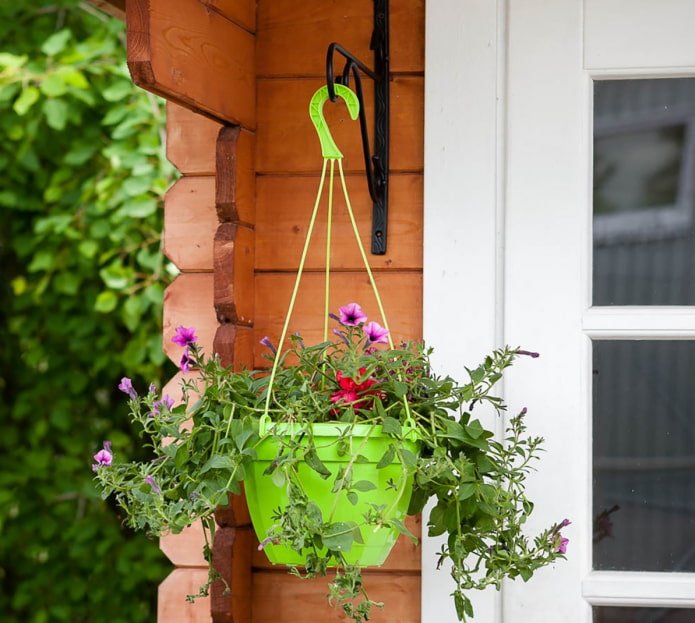 hanging flowerpot