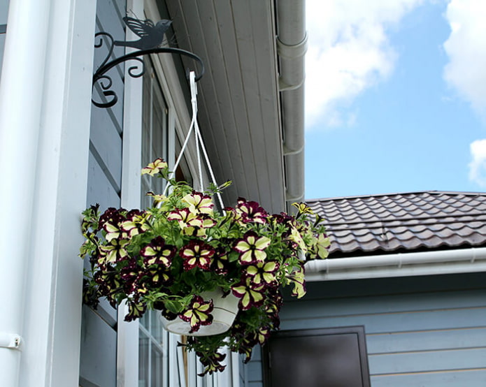 hanging flowerpot