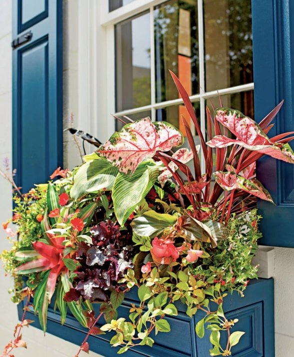 bloemen buiten het raam