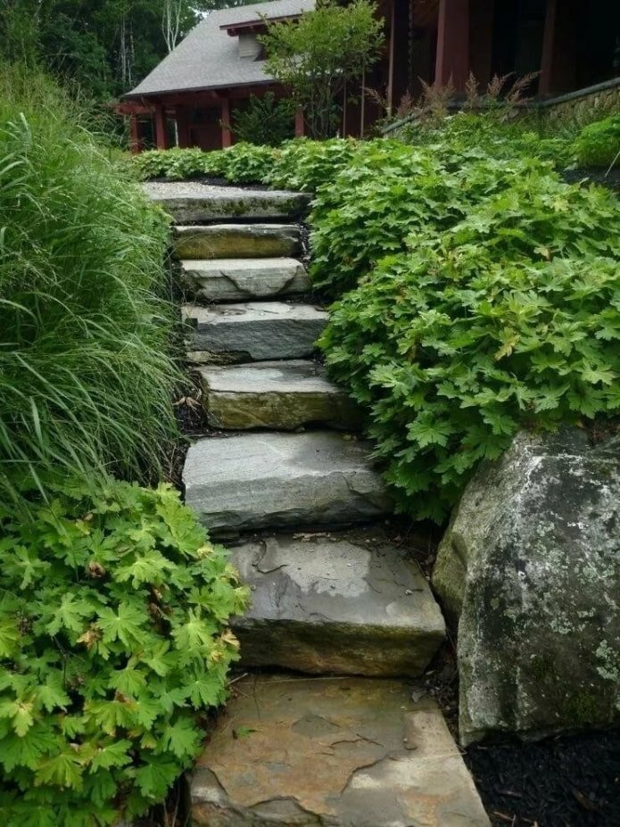 stenen trap in de tuin