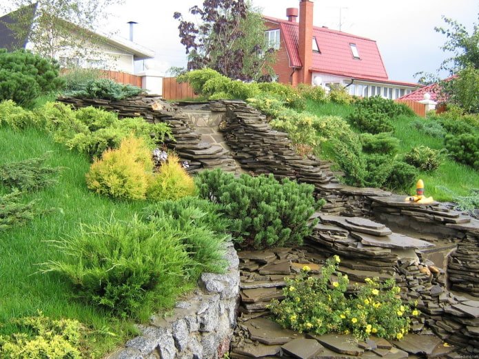 planten voor de berghelling
