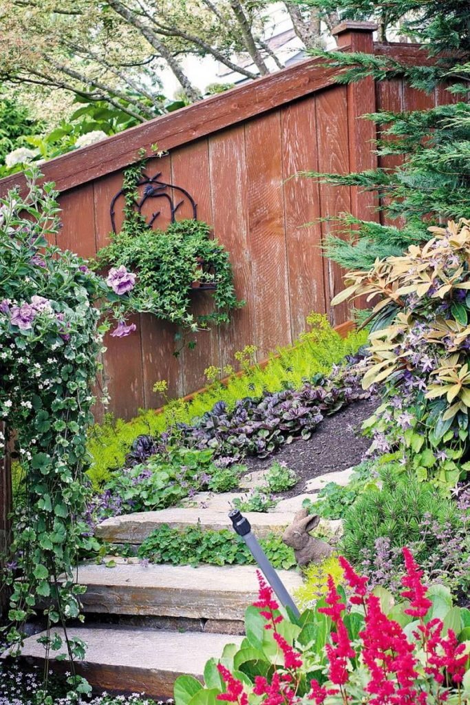 planten langs de trap