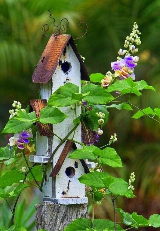 Decoratief vogelhuisje