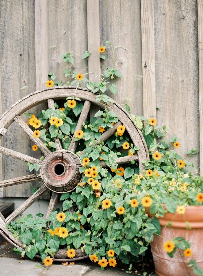 Wiel met bloemen