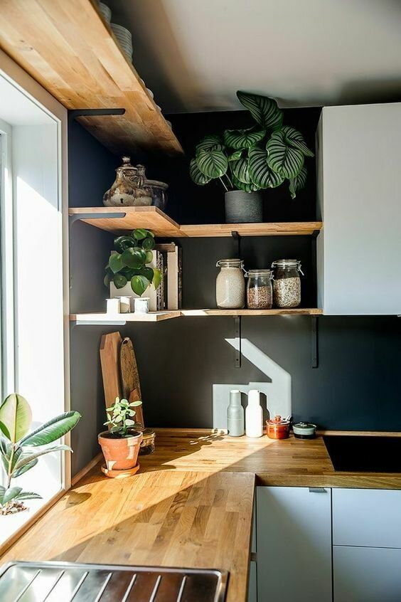 Kamerplant