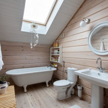 Vagonka in het badkamerinterieur-1