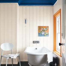 Vagonka in het badkamerinterieur-2