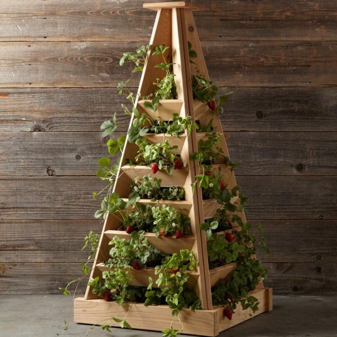 Aardbeien in een verticale bloemperk