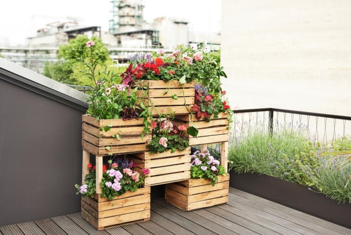 Bloemperk van bakken met hangplanten
