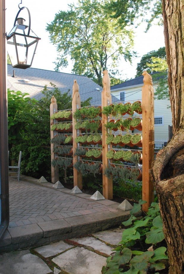 Scherm van planten in een bloempot