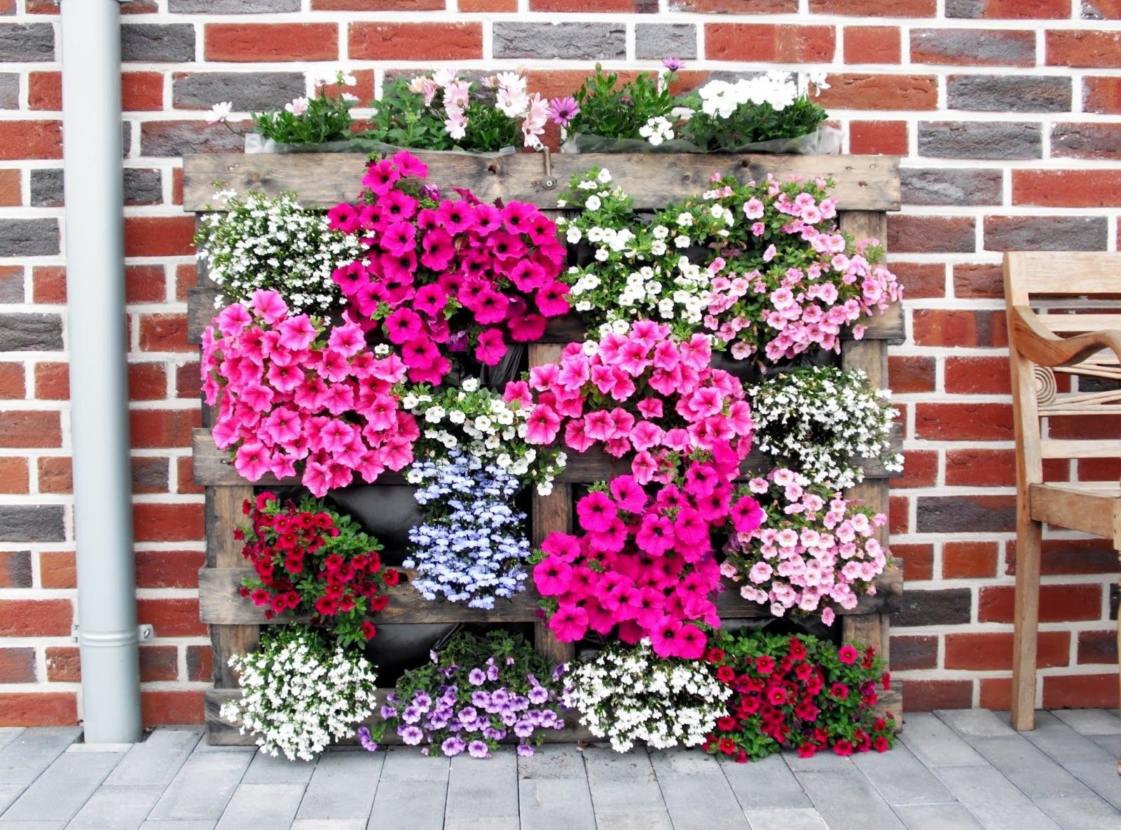 Hoe maak je een verticaal bloemenperk?