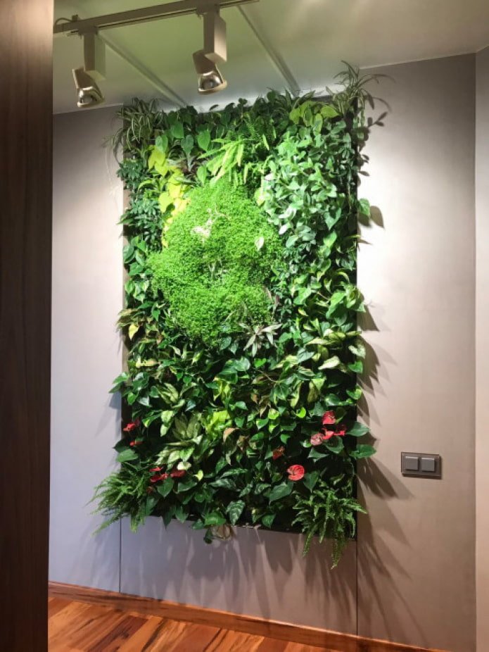 fytopaneel van wijnranken