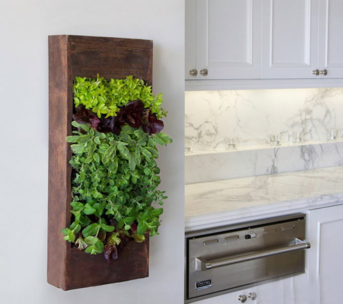 groen paneel voor de keuken