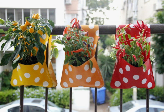 Kleine zakjes voor paprika's