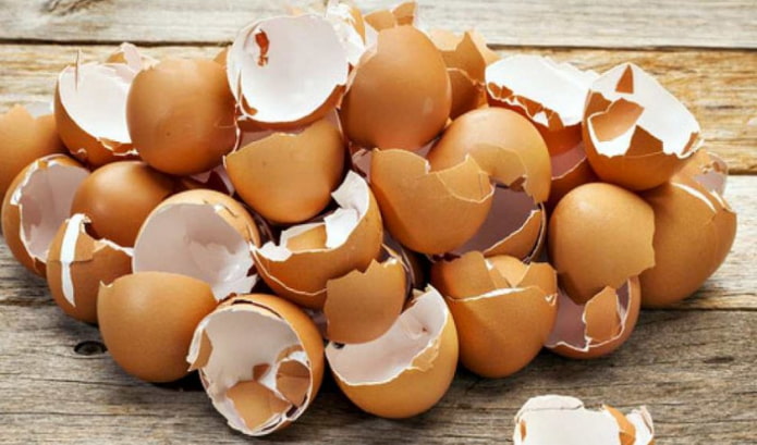Eierschaal