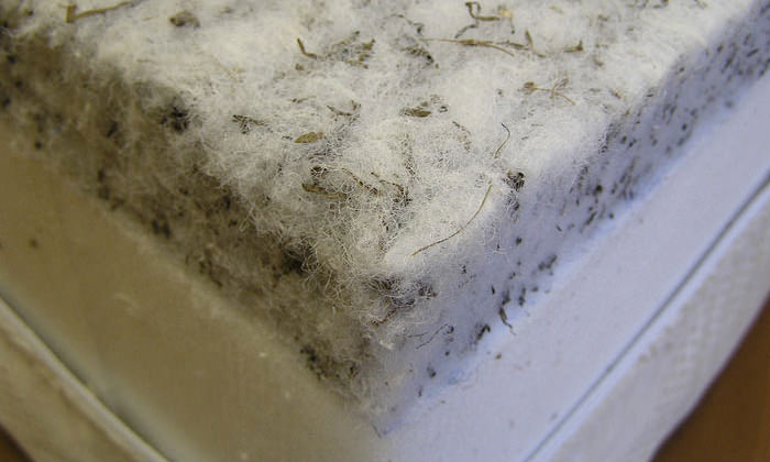Struttofiber vulling voor een orthopedisch matras