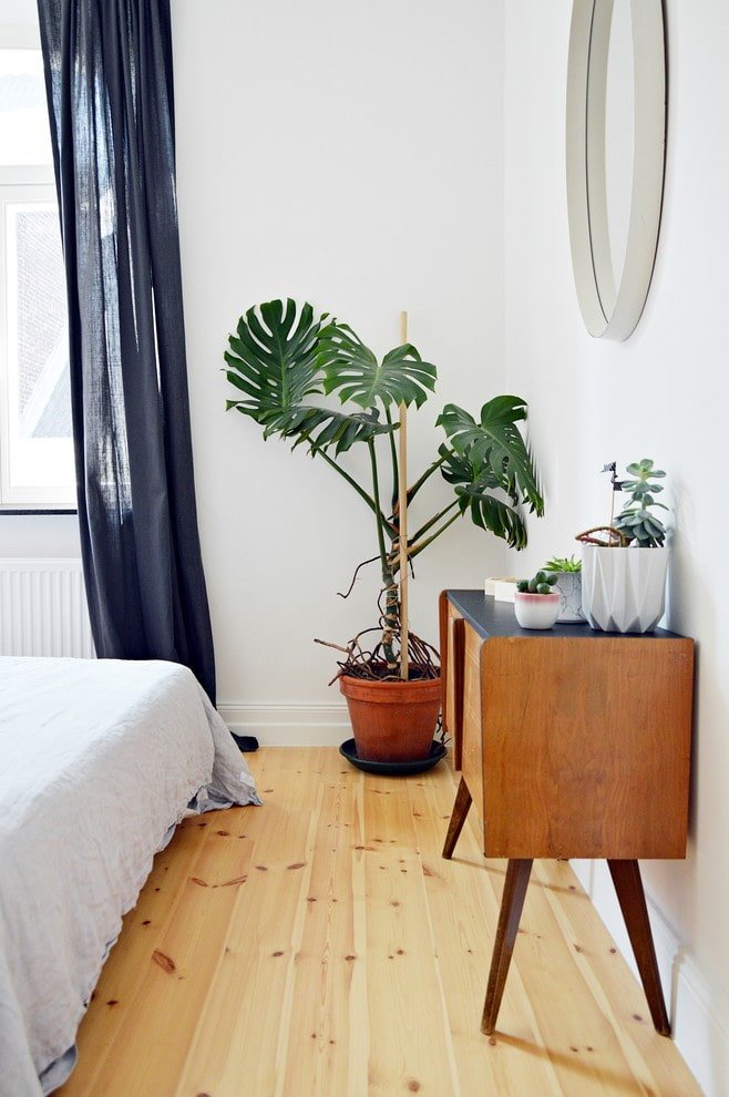 Monstera in de slaapkamer