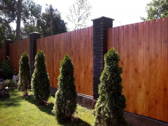 Schutting van profielplaat onder de boom