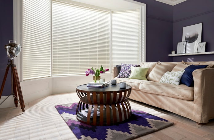 horizontale jaloezie?n in de woonkamer