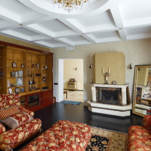 Vloeibaar behang: definitie, soorten, voor- en nadelen, kleur, ontwerp, combinaties, verzorging-5