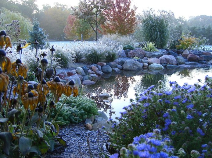 Tuin met granen bij een vijver